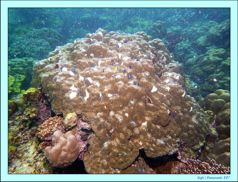 2011 - 07 - Koh Lipe 36